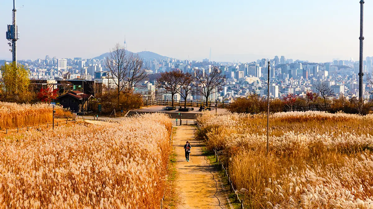 상암노을공원